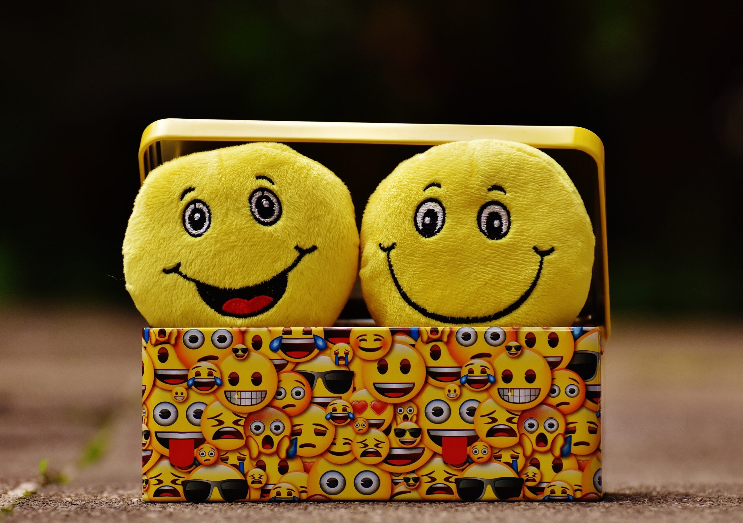 Emotional Intelligence